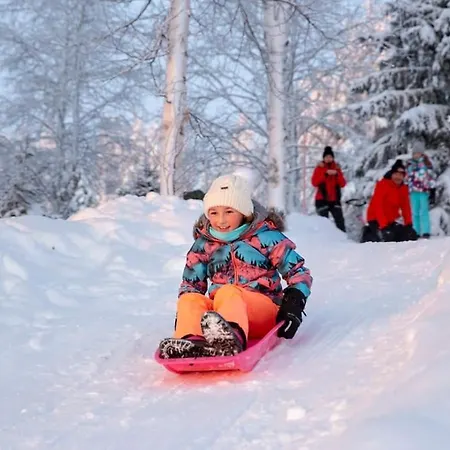 Lysti By The And Magical Countryside * Рованиеми