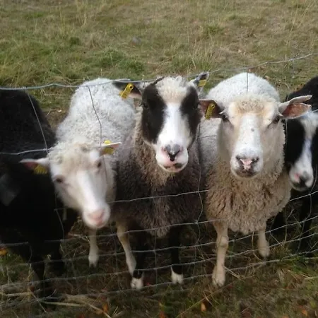 Lysti By The And Magical Countryside * Рованиеми