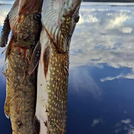 Шале Lysti By The And Magical Countryside *