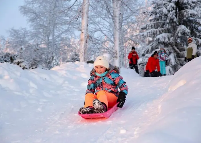 Lysti By The And Magical Countryside * Rovaniemi