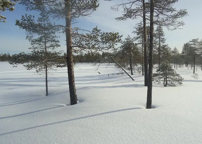 Domek alpejski Lysti By The And Magical Countryside Rovaniemi