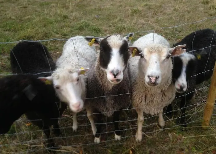 Lysti By The And Magical Countryside * Rovaniemi