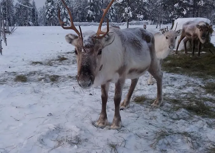 Lysti By The And Magical Countryside