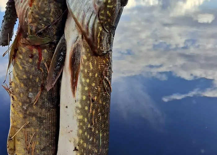 Domek alpejski Lysti By The And Magical Countryside *