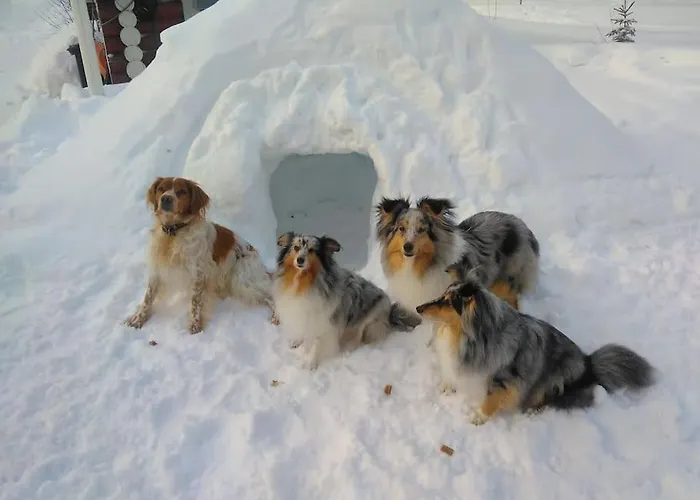 Lysti By The And Magical Countryside