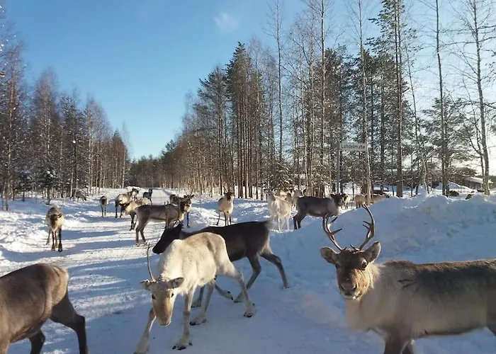 Lysti By The And Magical Countryside Domek alpejski *